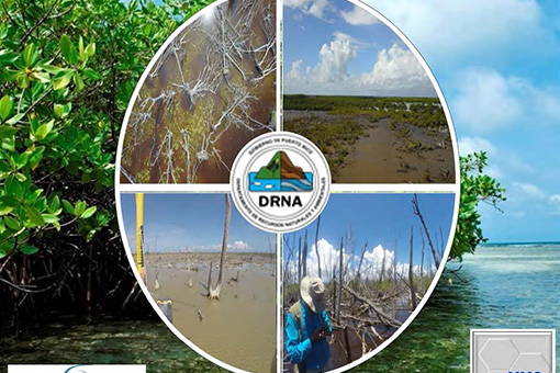 Natural Infrastructure Restoration to Enhance Climate Resilience in Puerto Rico