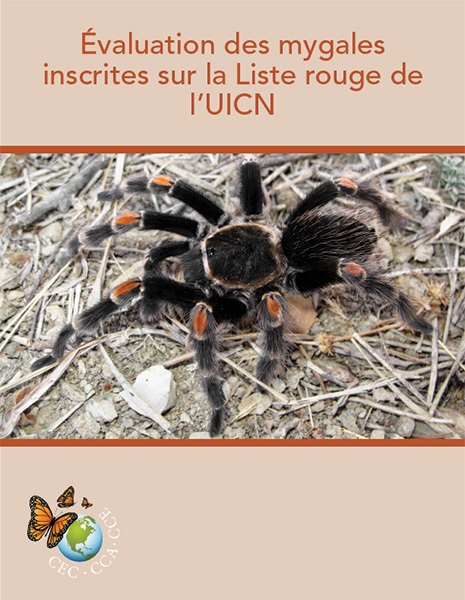 CEC Publication Cover