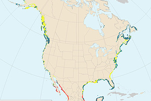 Maps - Blue Carbon