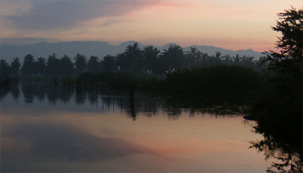 Landscape photo of Wetlands in Manzanillo