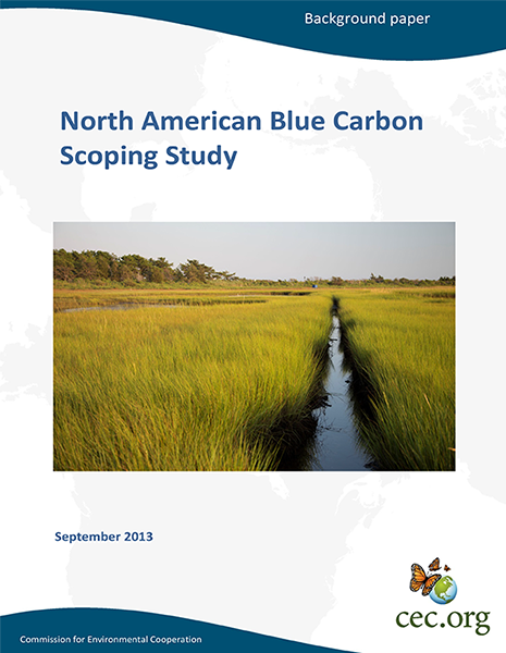 CEC Publication Cover