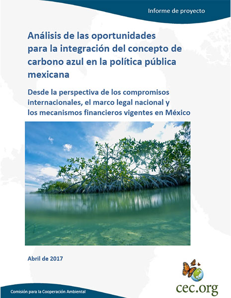 CEC Publication Cover
