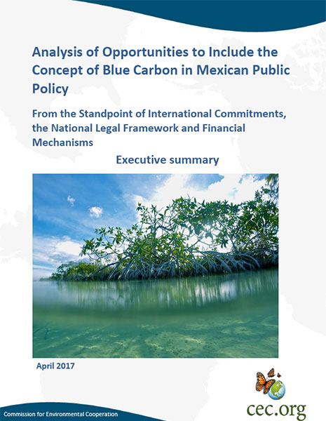CEC Publication Cover