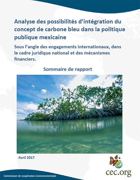 CEC Publication Cover