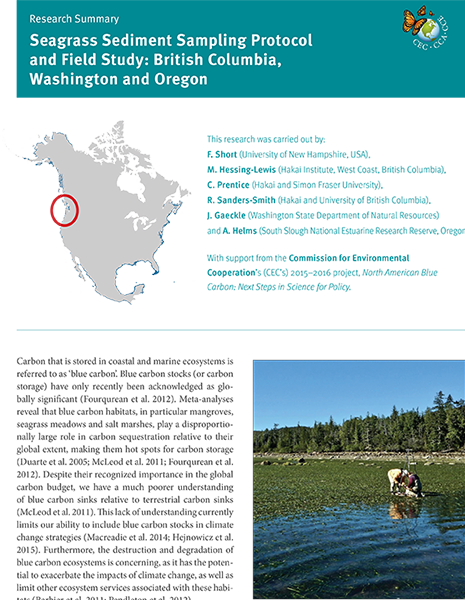 Seagrass Sediment Publication Cover