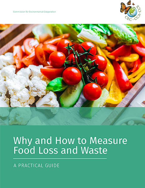 Practical Guide Publication Cover