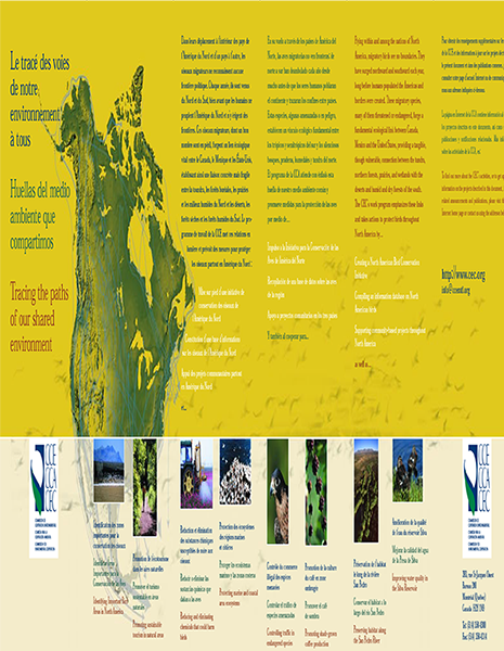 CEC Publication Cover
