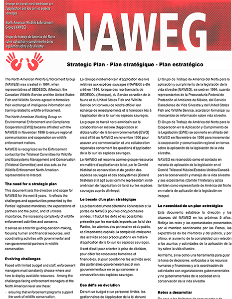 CEC Publication Cover