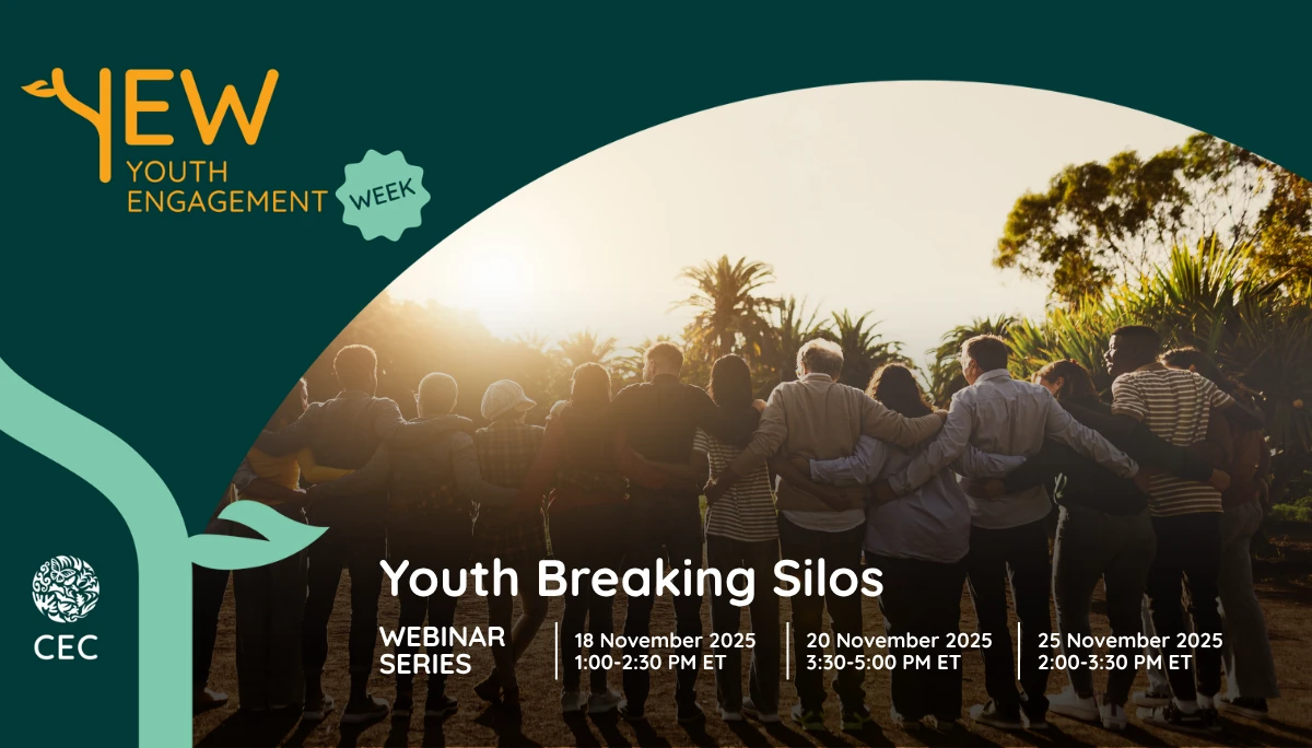 Youth Breaking Silos