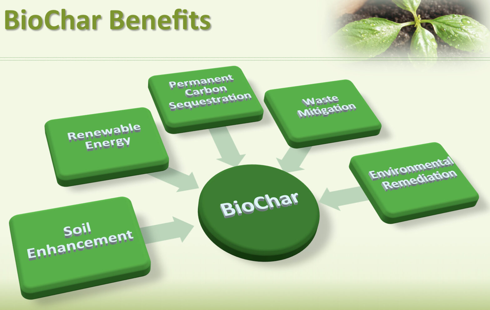 Biochar