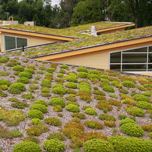 CEC Projects - Green Building