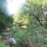 Conocimiento ecológico tradicional