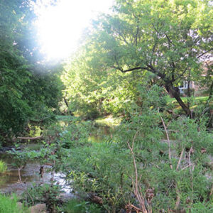 Indigenous communities - Ecosystem Vulnerability