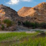 CEC Projects - Big Bend