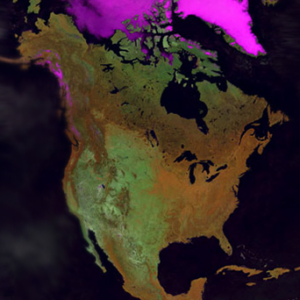 CEC Projects - Environmental Issues