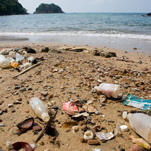 Solutions to Marine Litter