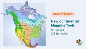 Banner for depicting a GIS Land Cover Change map of North america