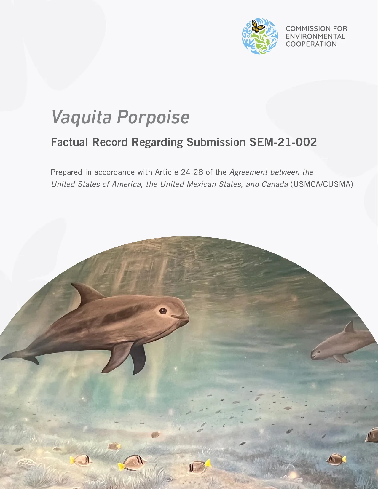 Vaquita Porpoise