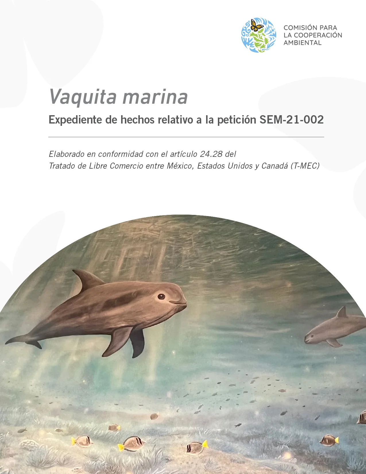 Vaquita marina