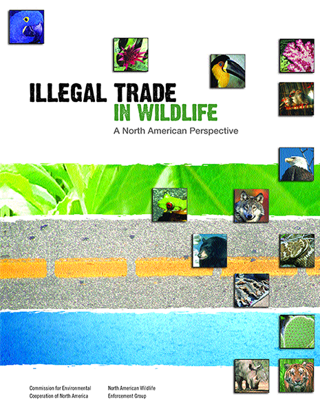 CEC Publication Cover