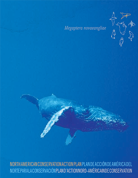 CEC Publication Cover