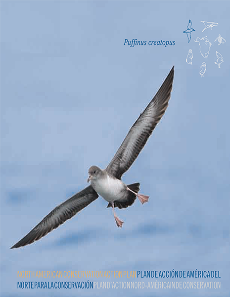 CEC Publication Cover