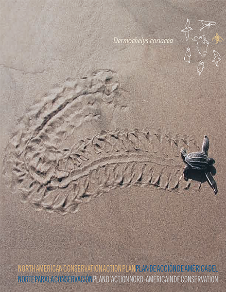 CEC Publication Cover