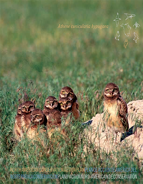 CEC Publication Cover