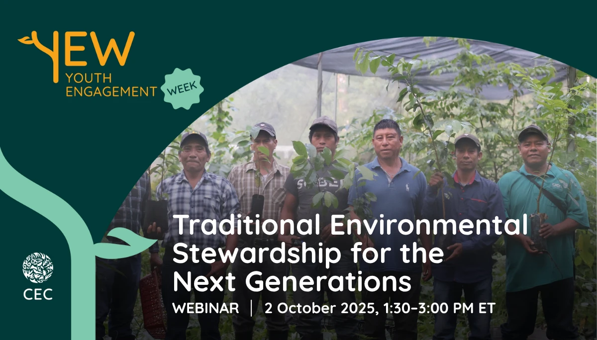 Traditional Environmental Stewardship for the Next Generations