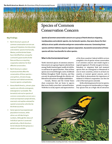 CEC Publication Cover