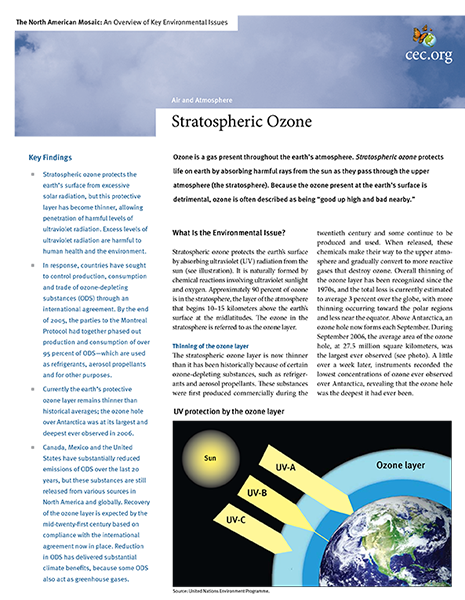 CEC Publication Cover