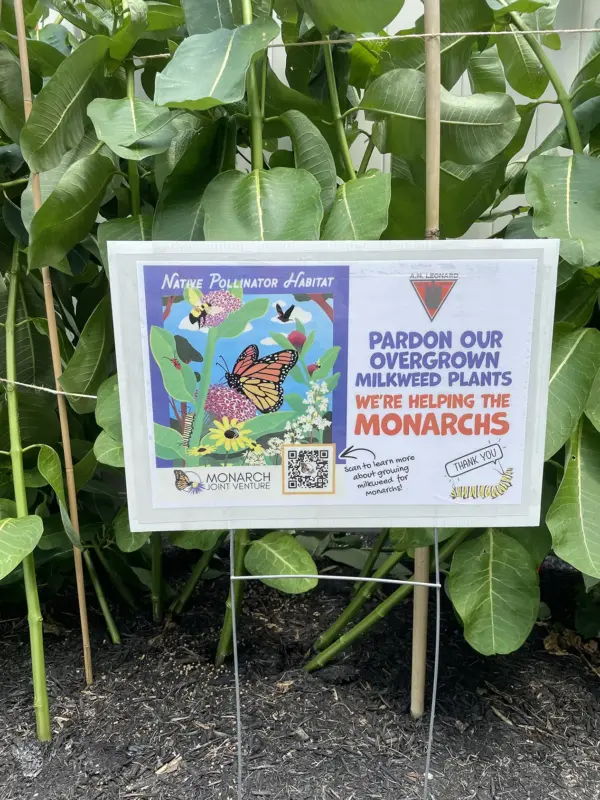 Monarch Blitz 2025