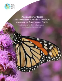 conservación de la mariposa monarca