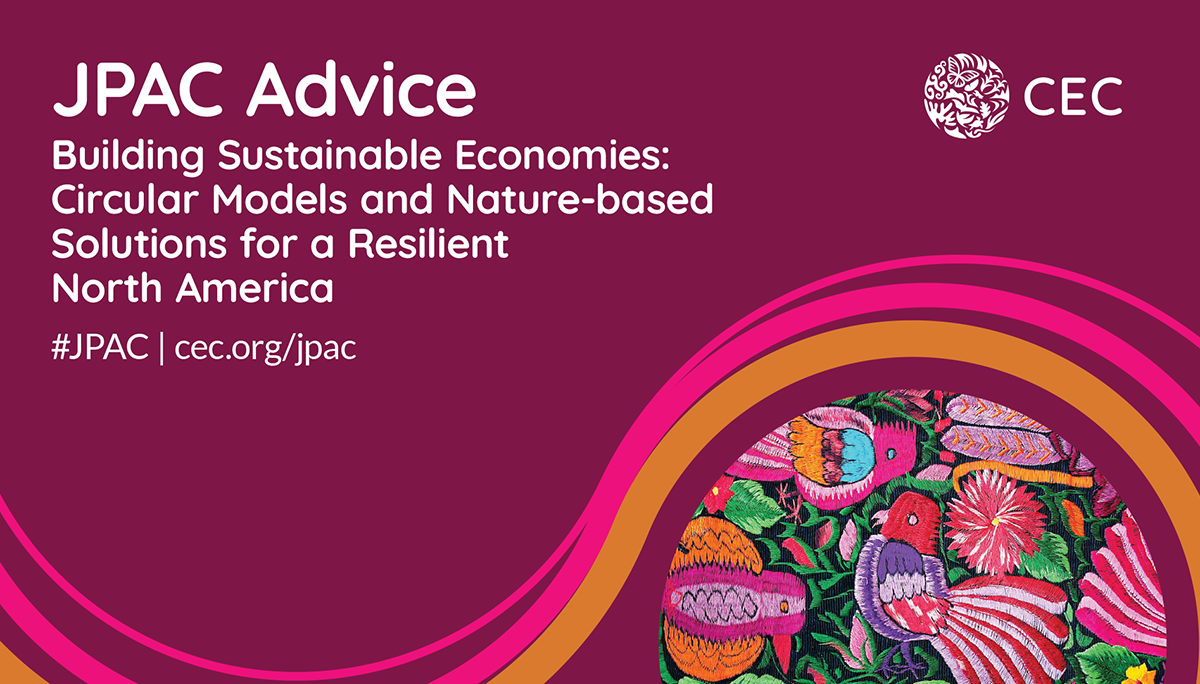 Building Sustainable Economies