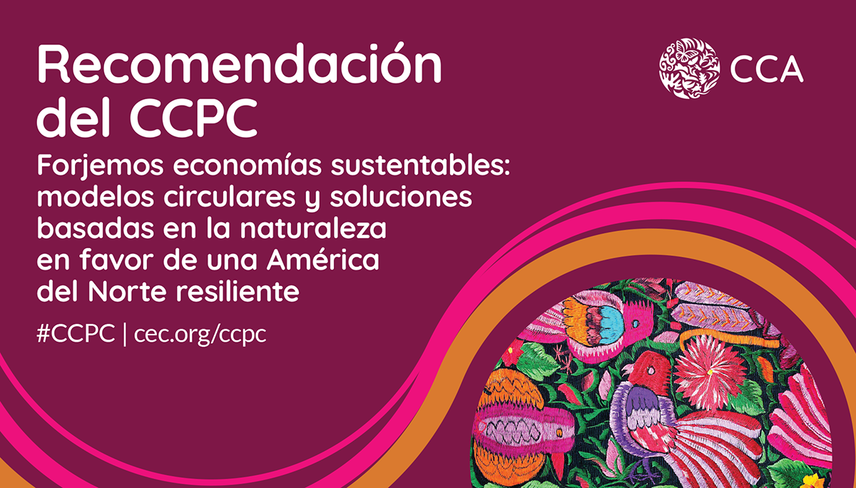 Forjemos economías sustentables