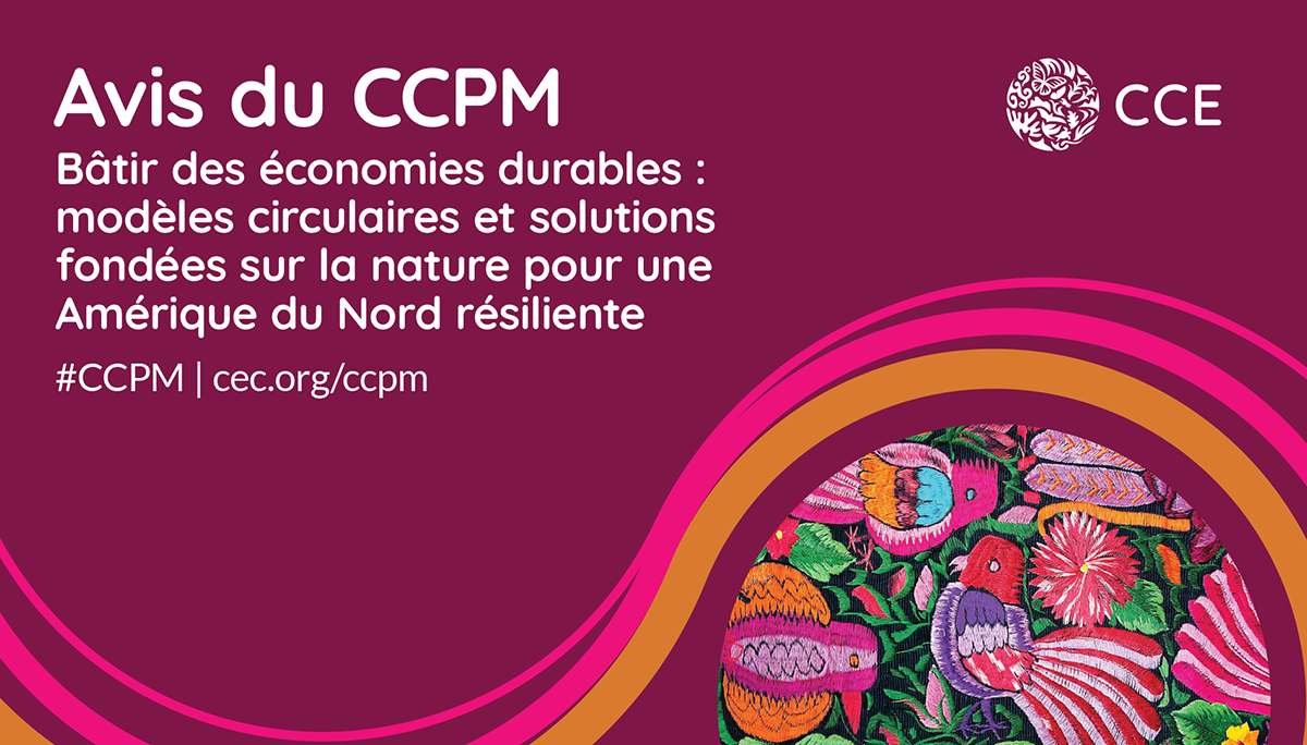 Bâtir des économies durables