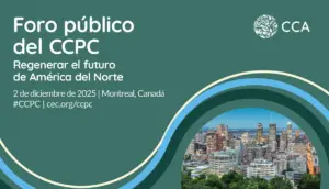 Foro público del CCPC