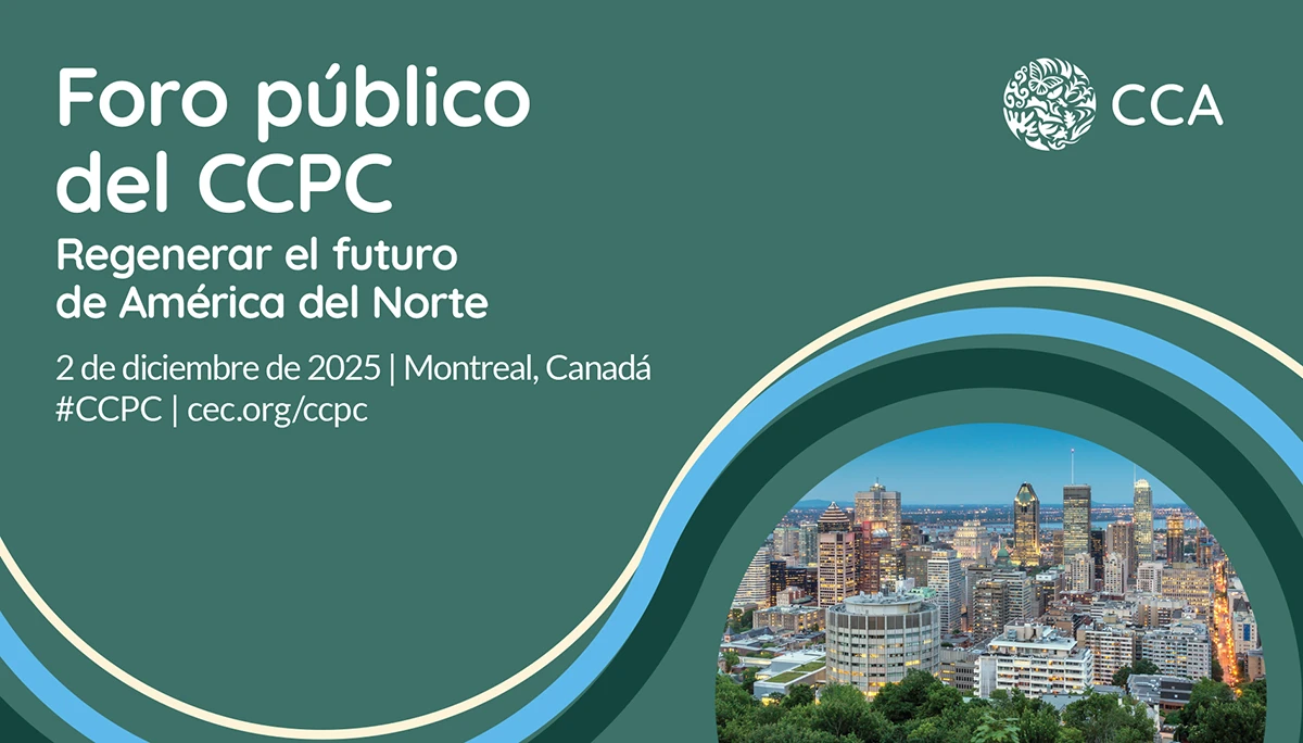 Foro público del CCPC