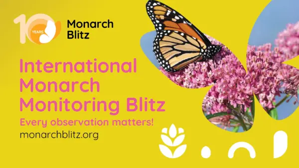 Monarch Monitoring Blitz