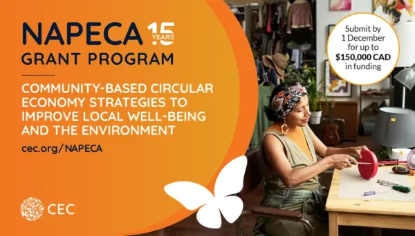 2025-2026 CEC NAPECA Grant Program