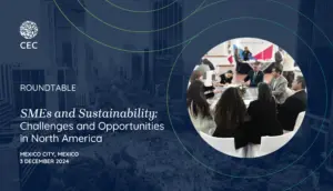 SMEs and Sustainability
