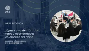 SMEs and Sustainability