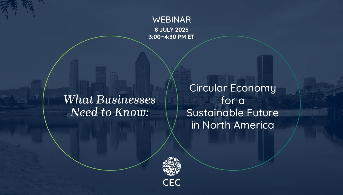 économie circulaire