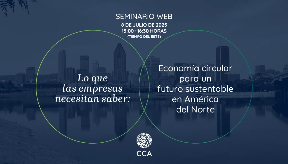 economía circular