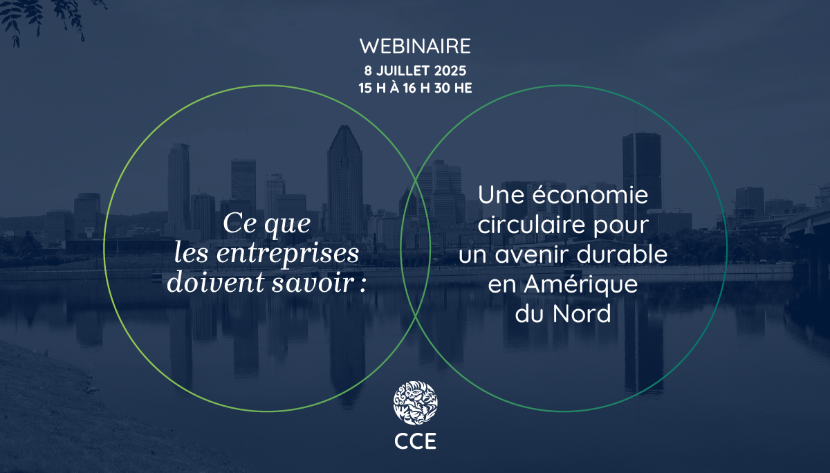 économie circulaire