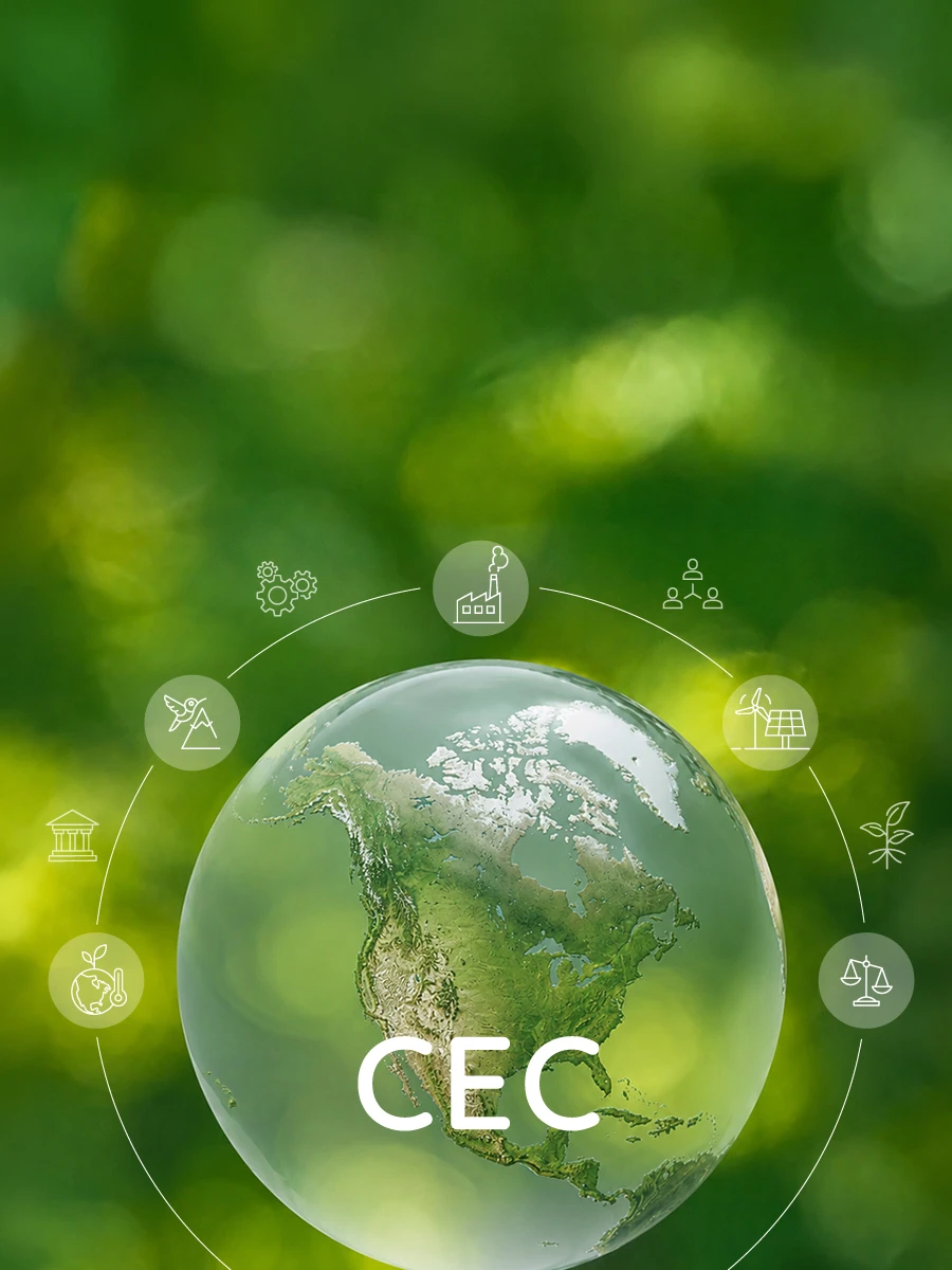 Collaborative environmental work connecting science, justice, and sustainability