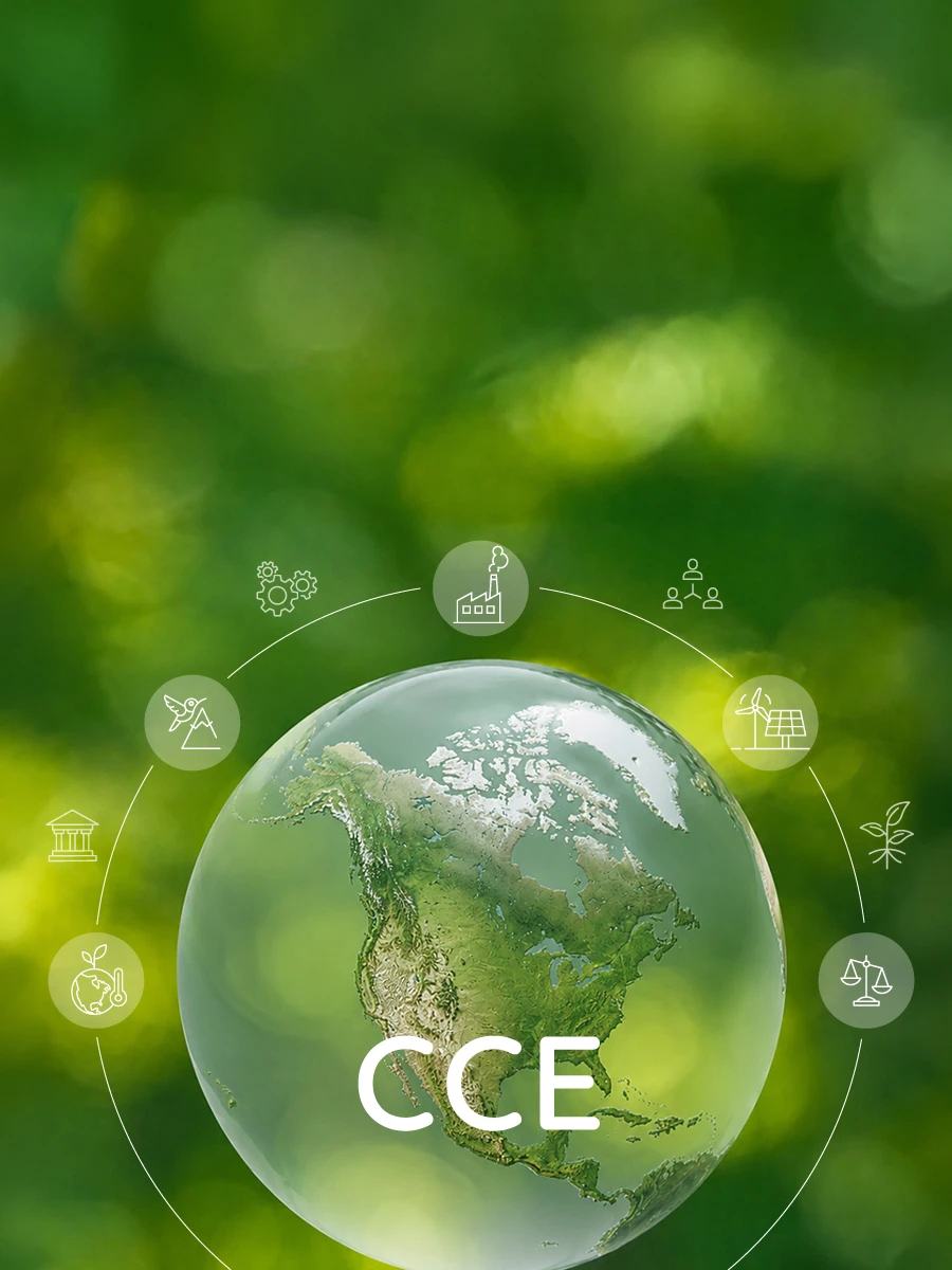 Collaborative environmental work connecting science, justice, and sustainability