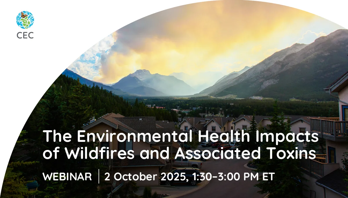 Wildfires and Associated Toxins