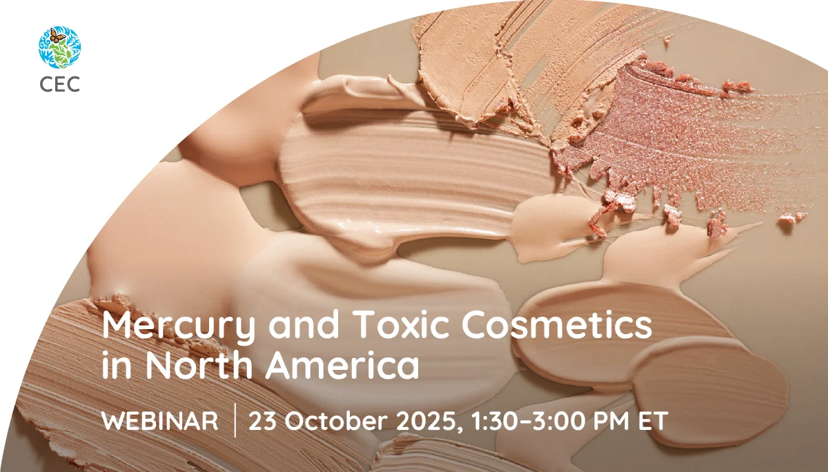 Mercury and Toxic Cosmetics