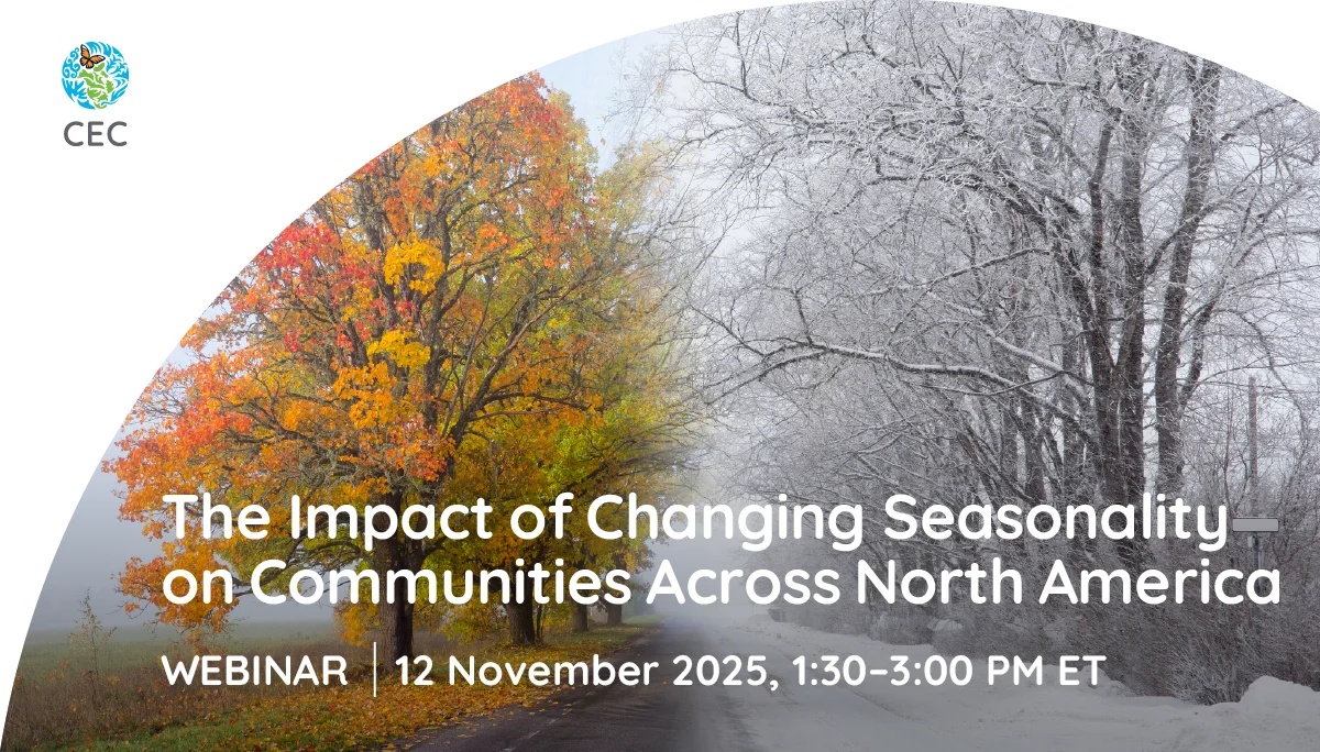 The Impact of Changing Seasonality